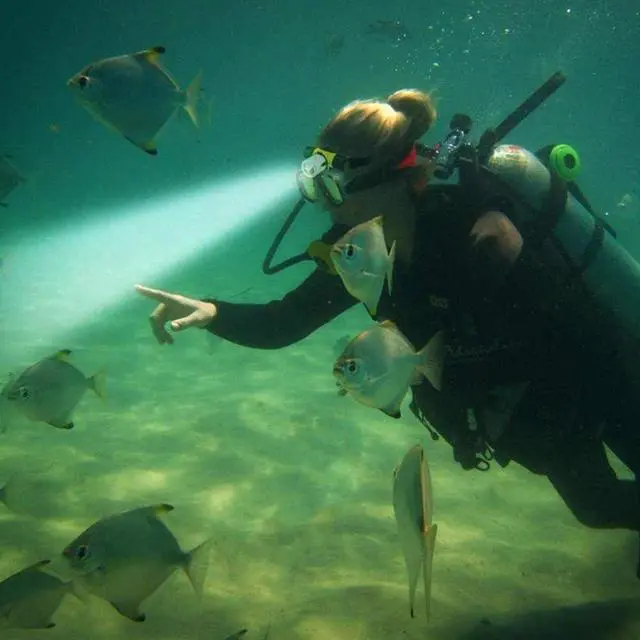 Alt view image 6 of 6 - Waterproof Diving Swimming Hiking Camping Hunting Fishing Headlamp Underwater 1200 Lumen Safety Head Light Flashlight