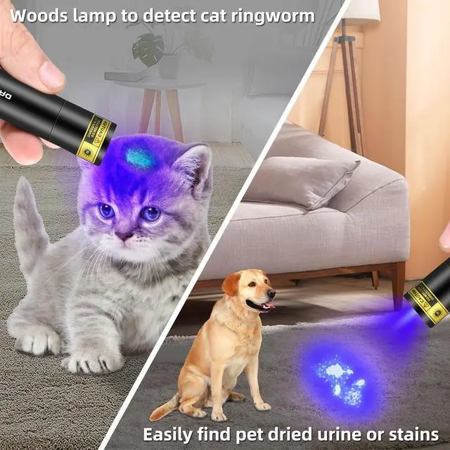 Alt view image 3 of 7 - DARKBEAM UV Flashlight 365nm Woods Lamp USB Rechargeable Portable Blacklight LED Ultraviolet Light Mini, Detector for Pet Urine, Stains, Uranium Glass, Money, Amber 370nm, 2 Pack