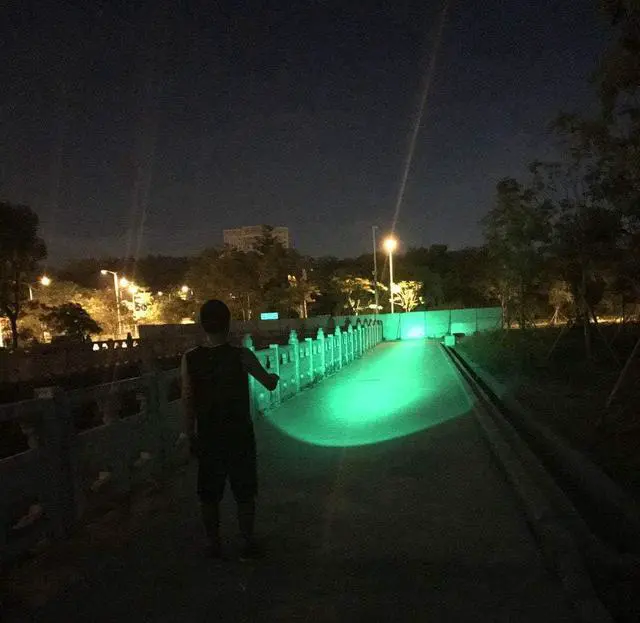 Alt view image 6 of 7 - ULTRAFIRE Green Hunting Flashlight, 650 Lumens, Single Mode, 520-535 nm Wavelength 256 Yards,Tactical LED Night Hunting Light for Hog Pig Coyote Varmint Predator Rifle (Battery not Included)