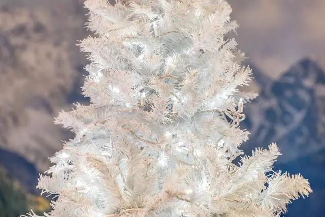 Alt view image 7 of 7 - Novelty Lights 25 Feet 50 Light Pure White LED Christmas Lights White Wire, Connectable Mini String, Indoor/Outdoor, Commercial Grade, UL Listed