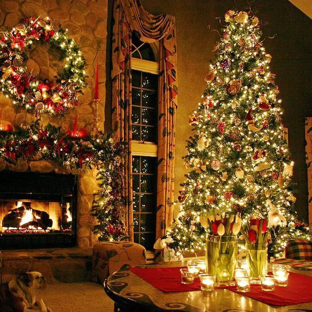 Alt view image 6 of 6 - Techip 300 LED Halloween Christmas Lights Outdoor, Warm White Christmas Tree Lights Outside Waterproof Twinkle Lights Green Wire Connectable Plug in String Lights Indoor 108FT 8 Modes for House Decor