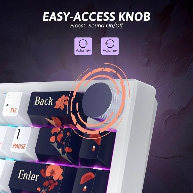 Alt view image 6 of 7 - RisoPhy PC425 Wireless Gaming Keyboard, Gasket Mount, RGB Backlight, Volume Knob, 2.4GHz/USB-C/BT5.0, 60% Mechanical Gaming Keyboard for Mac/Win