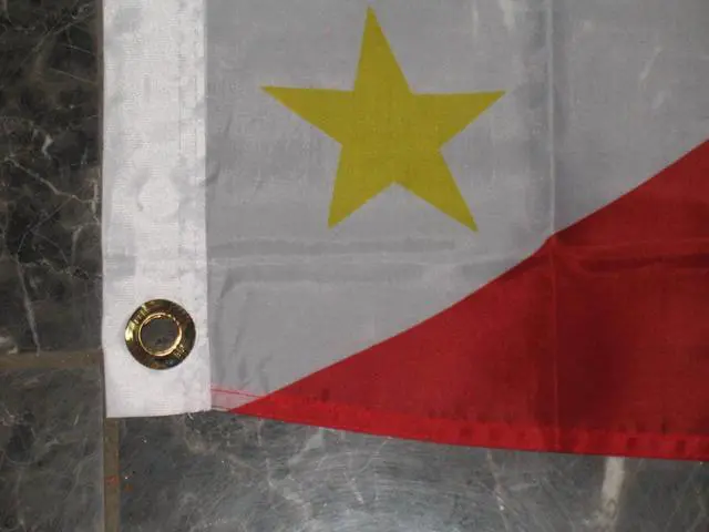 Alt view image 3 of 4 - TRONOVIA 3x5 Philippines Flag Filipino Philipines Country Banner Pennant Indoor Outdoor