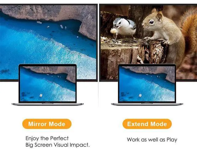 Alt view image 5 of 5 - CableCreation Multi-Function DisplayPort to HDMI VGA Adapter, 2 in 1 DP1.2 DP to HDMI VGA Hub Male to Female Converter 4K@60Hz Video/Audio, Black