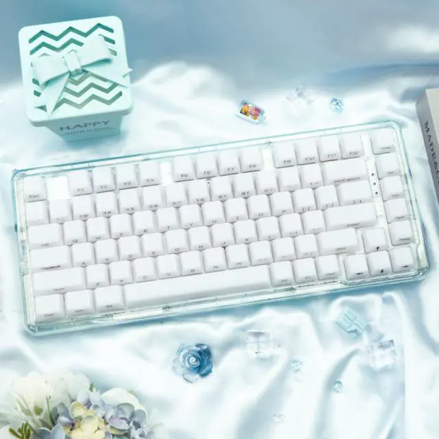 Alt view image 5 of 5 - TIMSEKER White Shine Through Side Print Keycap OEM Profile, ABS Minimalist Custom Keycap Set, 130 Keys Translucent Gaming Key Cap for 61/64/87/104/108 ANSI Layout Mechanical Keyboard