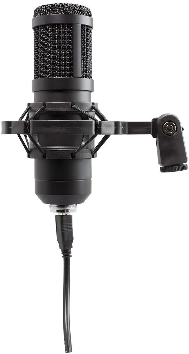 Main image of Digital Podcast Studio Microphone USB Plug and Play, Built-in Noise Reduction, Compatible with PC and Mac, High Sampling Rate, Crystal Clear Sound, for Recording, Singing, Streaming