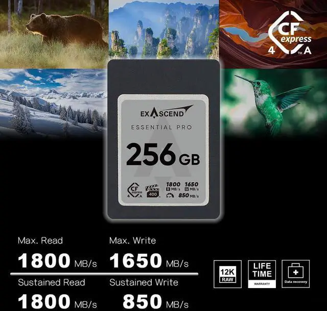 Alt view image 2 of 5 - Exascend Essential Pro CFexpress 4.0 Type A Card 256 GB, Rated VPG400, Sustained Read 1650 MB/s (1, TB), EXPC4EA001TB