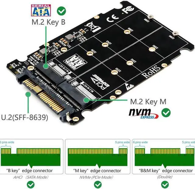 Main image of M.2 SSD to U.2 Adapter 2in1 M.2 NVMe and SATA Bus NGFF SSD to PCI e U.2 SFF 8639 Adapter PCIe M2 Converter for Desktop Computers