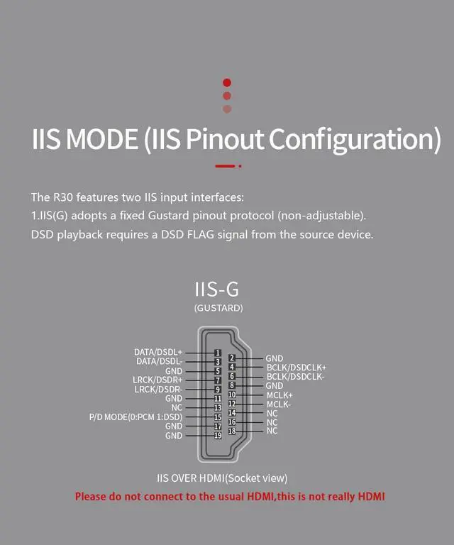 Alt view image 4 of 7 - Gustard R30 Fully Discrete R2R Network Streaming DAC DSD PCM768K IIS FPGA NOS Triple Digital Filter Modes Controller Support (Black)