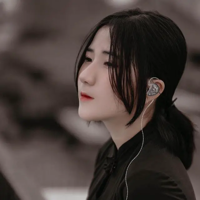 Alt view image 2 of 7 - AS24 in Ear Monitor Headphone 24BA Drivers High Performance IEM Earphones with 8 Tuning Switches, Noise Isolation Wired Earbuds for Musicians (Tuning Version,Black,with mic)