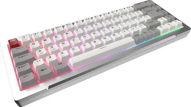 Alt view image 2 of 5 - Raijintek MGA-68 Silver, 65% TKL Magnetic Switch Gaming Keyboard, Wired, 69 Keys, Hot-Swappable, CNC Aluminum Frame, Customizable ARGB Lighting, USB-C, Compatible with Windows & Mac (0R40B00276)