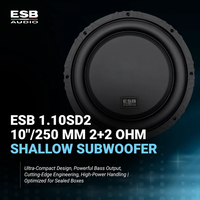 Alt view image 2 of 5 - ESB Audio 10/250 mm DVC 2+2 ohm Subwoofer