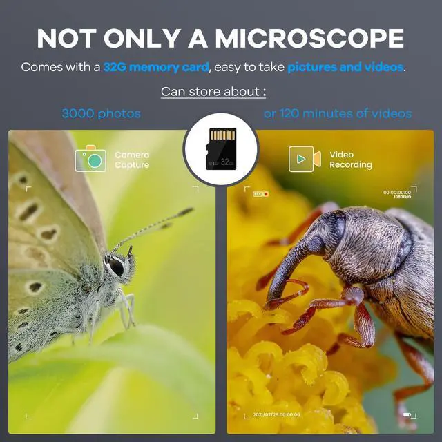 Alt view image 6 of 7 - AD203 Handheld Digital Microscope, Portable Pocket Microscope | 4.3 Inch Screen, FHD Video, Supports Windows Mac PC, USB Coin Microscope, 32GB SD Card, Carrying Bag, Wrist Strap