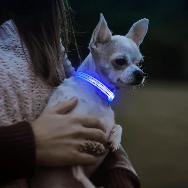 Alt view image 6 of 7 - _Mega Brand Light Up Dog Collars for Small Dogs,LED Dog Collar Light Rechargeable,Fully Adjustable Lighted Dog Collar,Glow in The Dark Dog Collars with Dog Lights for Night Walking,Blue