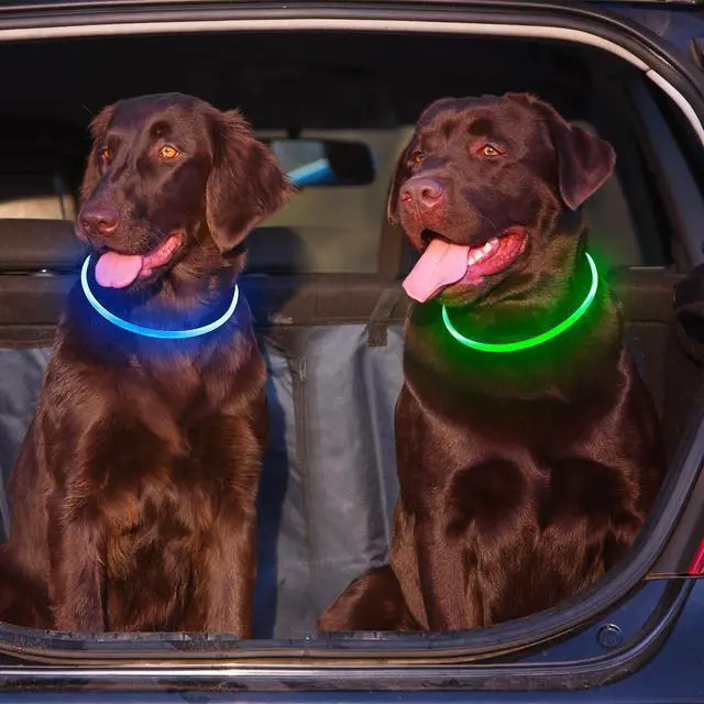 Alt view image 6 of 7 - _Mega Brand 2 Packs Light Up Dog Collar,USB Rechargeable Dog Lights for Night Walking,Adjustable Glow in The Dark Collars for Small Medium Large Dogs,Waterproof Safety Pets Lights Green&Blue