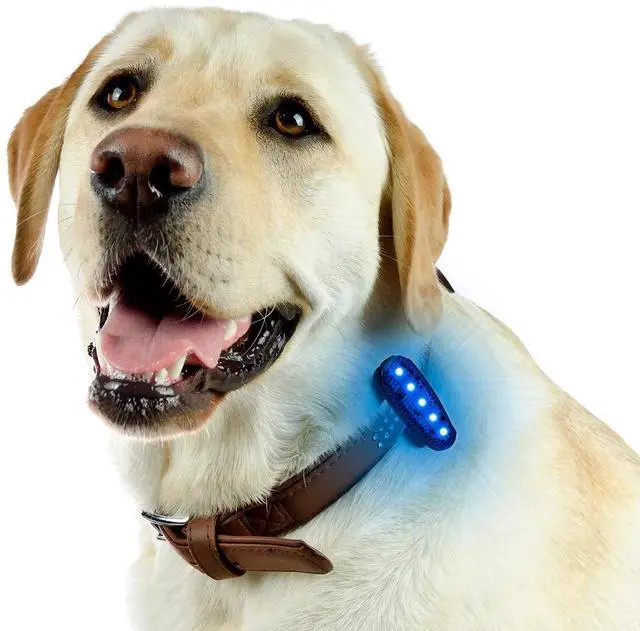 Alt view image 6 of 7 - _Mega Brand USB-C Rechargeable LED Safety Lights(2 Pack)-Clip on Strobe Running Lights for Runners,Joggers,Walkers,Kids,Dogs,Bike Tail Lights-High Visibility Accessories for Reflective Gear(Blue)