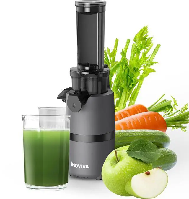Main image of _Mega Brand, Masticating Juicer Machines Compact, Slow Juicer with 70 RPM Low Speed, Juice Maker for Vegetable & Fruit, Portable Juice Extractor High Juice Yield & Easy to Clean, Grey