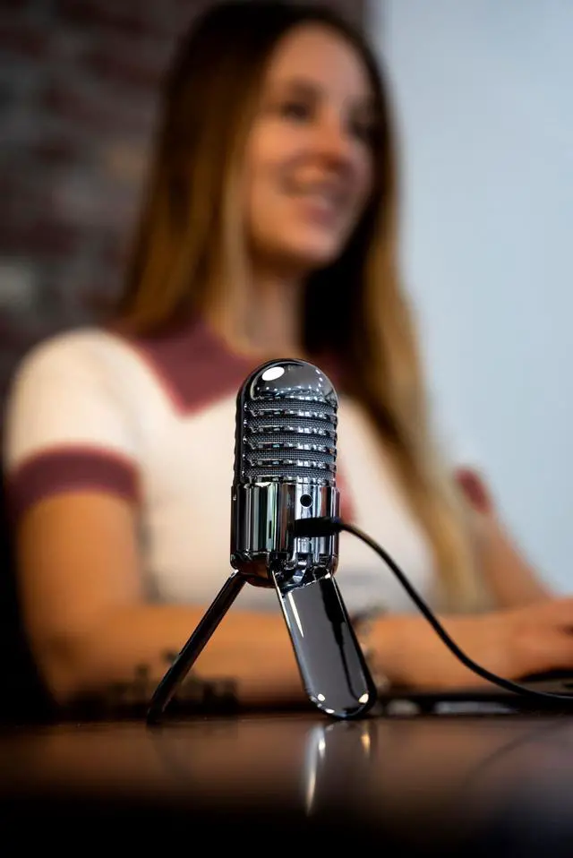 Alt view image 5 of 5 - _Mega Brand Meteor USB Microphone (Titanium Black)