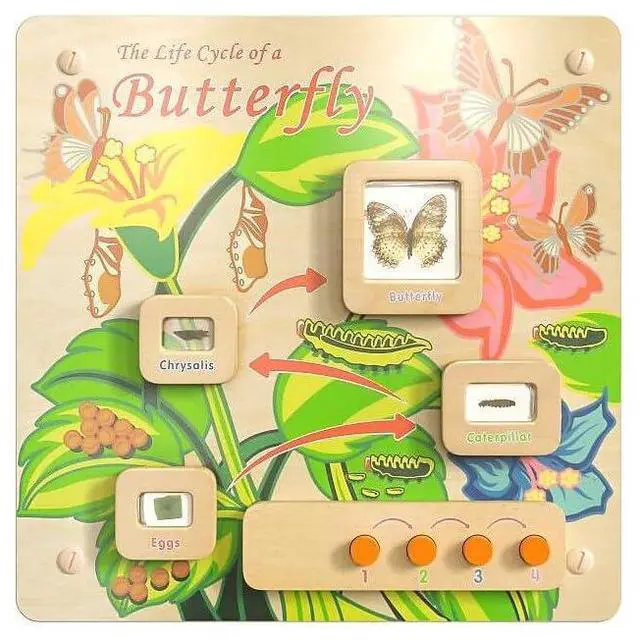Main image of Flash Furniture MK-ME12883-GG Life Cycle Wooden STEAM Board