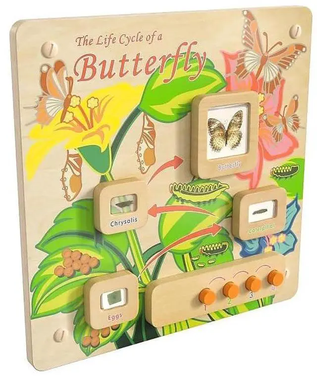 Alt view image 3 of 7 - Flash Furniture MK-ME12883-GG Life Cycle Wooden STEAM Board