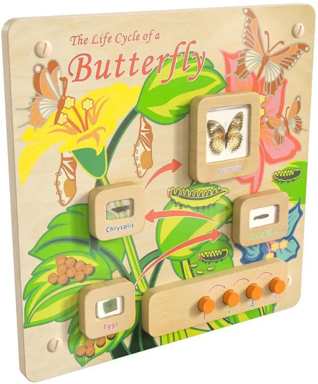 Alt view image 4 of 7 - Flash Furniture MK-ME12883-GG Life Cycle Wooden STEAM Board
