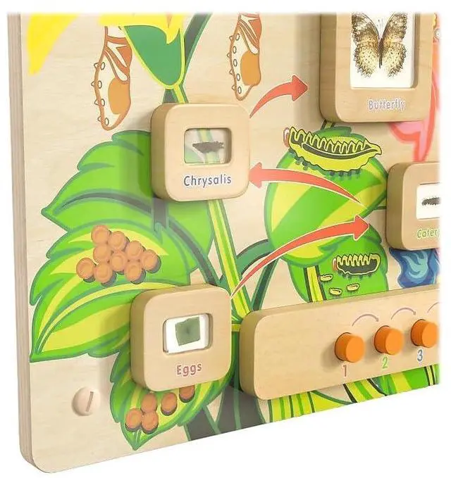 Alt view image 6 of 7 - Flash Furniture MK-ME12883-GG Life Cycle Wooden STEAM Board