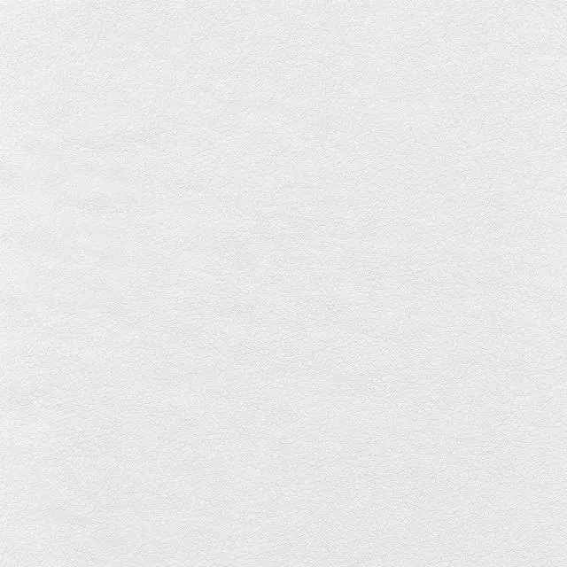 Alt view image 7 of 7 - Bush Business Furniture Modelo High Back Leather Executive Office Chair in White