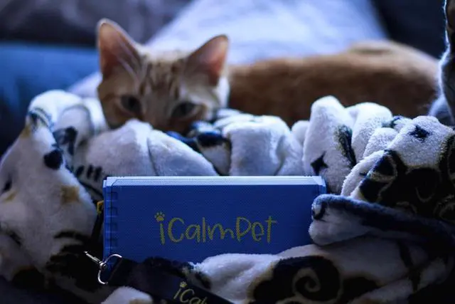 Alt view image 5 of 5 - Cat Lovers Deluxe | iCalmPet Ruff 'n Ready Portable Speaker with 5-hrs Cat Calming Music | 3 MicroSDs
