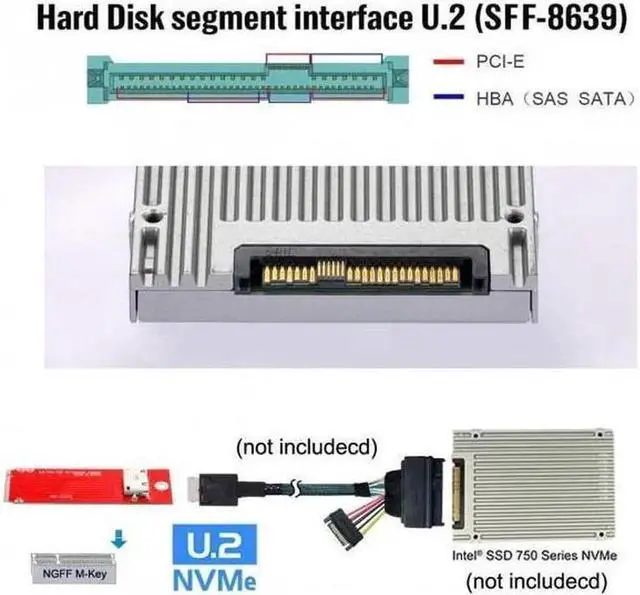 Alt view image 5 of 7 - Aomoproing U.2 SFF-8639 Cable & PCI-E 3.0 M.2 M-key to Oculink SFF-8612 SFF-8611 Host Adapter for PCIe Nvme SSD 2260