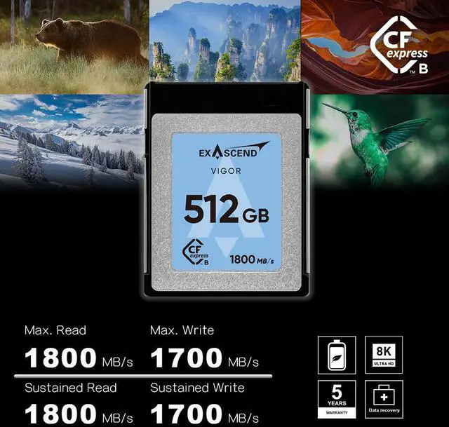 Alt view image 3 of 5 - Exascend 1 TB / 512 GB / 256 GB Vigor CFexpress Type B Card, Read up to 1,800 MB/s, Compatible with Canon R5, Nikon Z8, Z9 and Other Cameras (1, TB)