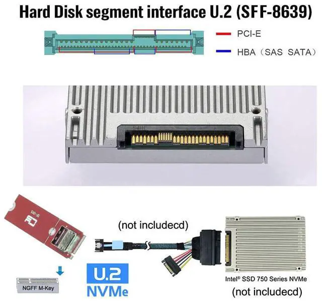 Alt view image 2 of 5 - cablecc M.2 M-Key PCI-E 5.0 4.0 to Mini Cool Edge IO MCIO Female Host Adapter for PCIe Nvme SSD 2280 2230