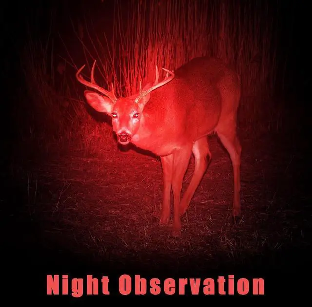 Alt view image 6 of 7 - Honoson 4 Pieces Red Light Flashlight LED Single Mode Torch 1 Mode Scalable Red Lens Filter Flashlight for Night Astronomy Aviation Observation Beach Turtle Safe