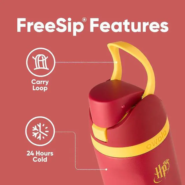 Alt view image 3 of 6 - Harry Potter FreeSip Insulated Stainless Steel Water Bottle with Straw BPA-Free Sports Water Bottle Great for Travel 24 oz Gryffindor