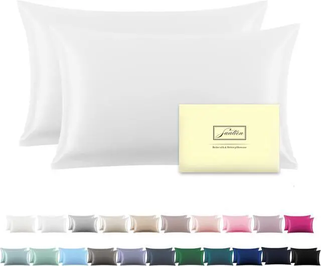 Main image of Silk Pillowcase for Hair and Skin Soft Breathable and Sliky 100% Standard Size Pillow Cases Set of 2 Both Sides Natural Mulberry Silk Pillowcases with Hidden Zipper(Standard Size 20X 26 2pcs)