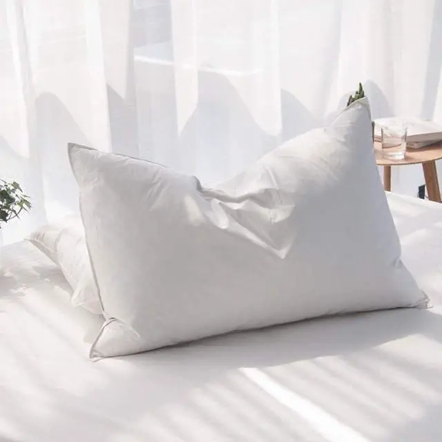 Main image of Luxury Feathers Down Pillows Queen Size Set of 2 Hotel Quality Fluffy Bed Pillows Soft Pillows for Sleeping Organic Cotton Cover(20x28 Pack of 2)