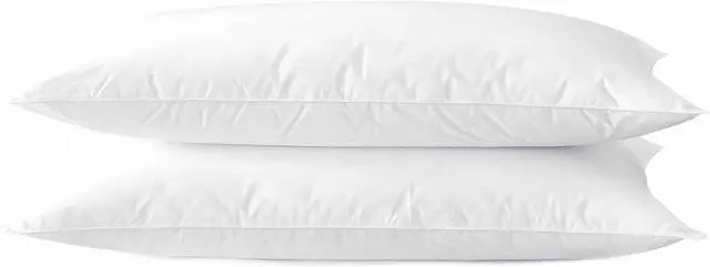 Main image of Ultra Thin Flat Soft Bed Pillows Standard Size Set of 2 Pack for Sleeping 20x26 Hypoallergenic Skin Friendly Machine Washable