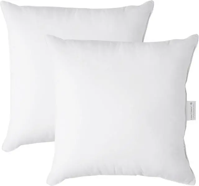 Main image of Throw Pillow Insert - Pack of 2 16x16 Pillow Inserts for Decorative Pillow Covers Throw Pillows Insert for Couch - White