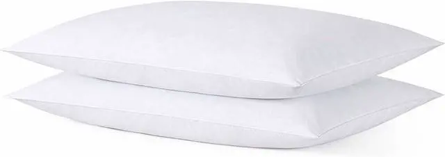Main image of Thin Flat Slim Ultra Soft Bed Pillows Queen Size Set of 2 Pack for Sleeping Bed Pillow for Stomach Back and Side Sleepers Machine Washable 20x28 inches
