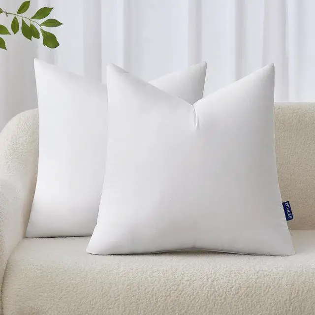Main image of 20x20 Inches Pillow Inserts Pack of 2 Decorative Throw Pillow Inserts for Couch