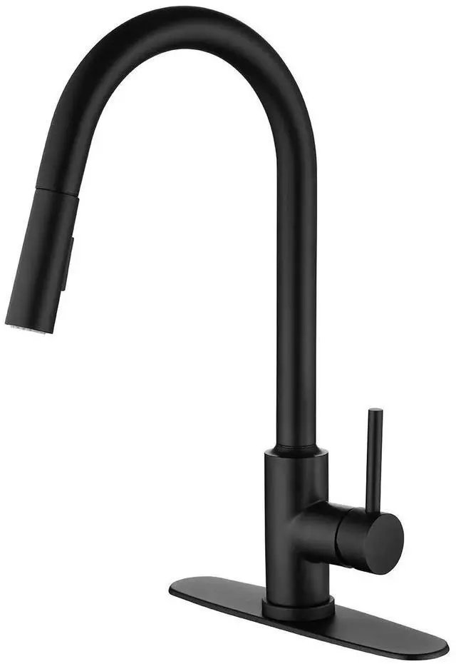 Main image of Kitchen Faucet with Pull Down Sprayer