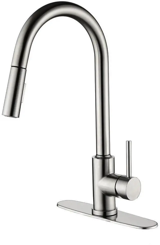 Main image of Kitchen Faucet with Pull Down Sprayer
