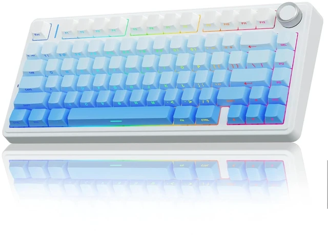 Main image of F75 Gasket Mechanical Keyboard, 75% Wireless Hot Swappable Gaming Keyboard with Five-Layer Padding&Knob, Bluetooth/2.4GHz/USB-C, RGB Light. (Blue)