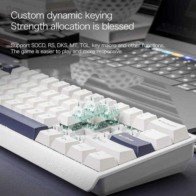 Alt view image 5 of 7 - MAMBASNAKE X60HE Wireless 8K Mechanical RT Keyboard-Star White