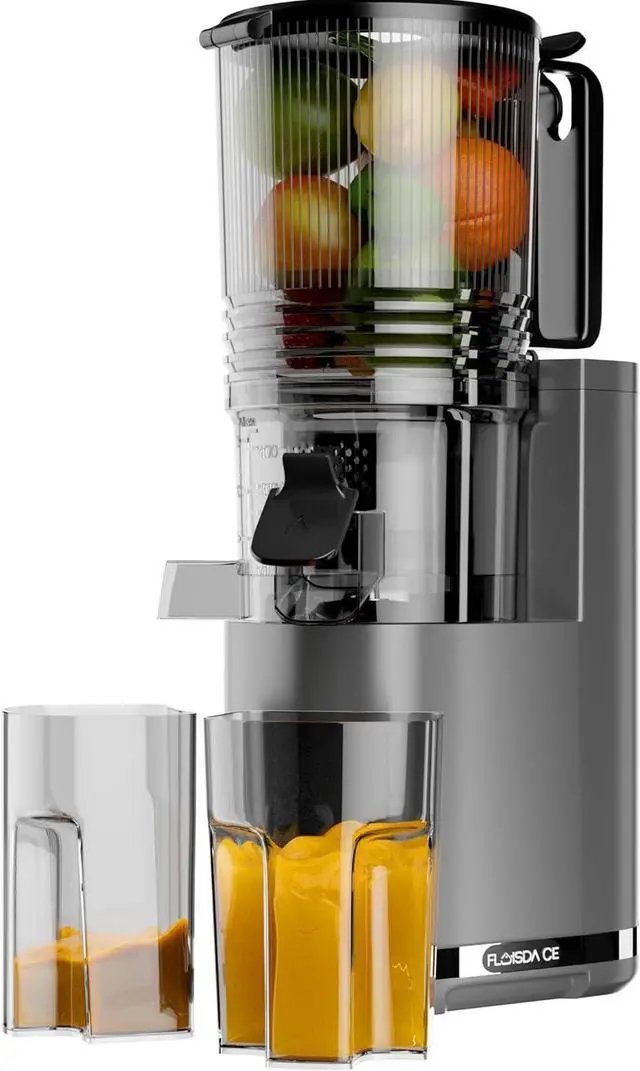 Main image of Cold Press Juicer, 6.5" Extra Large Feed Chute Juicer Machines, 350W Slow Masticating Juicer Machines with High Juice Yield for Whole Vegetables & Fruits, BPA Free, Titanium Gray, Easy to Clean