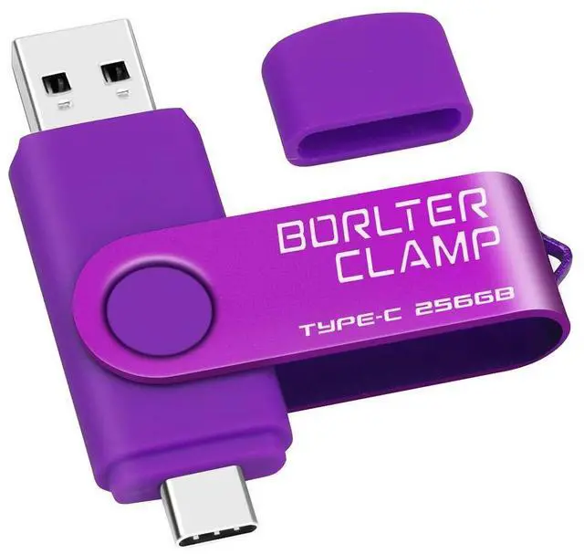 Main image of 256GB USB Type-C Flash Drive, BorlterClamp USB C 3.0 Jump Drive Memory Stick Dual Port for Android Smartphones Samsung Galaxy S10/S9/S8/Note 9, LG, Huawei, Tablets & Computer (Purple)