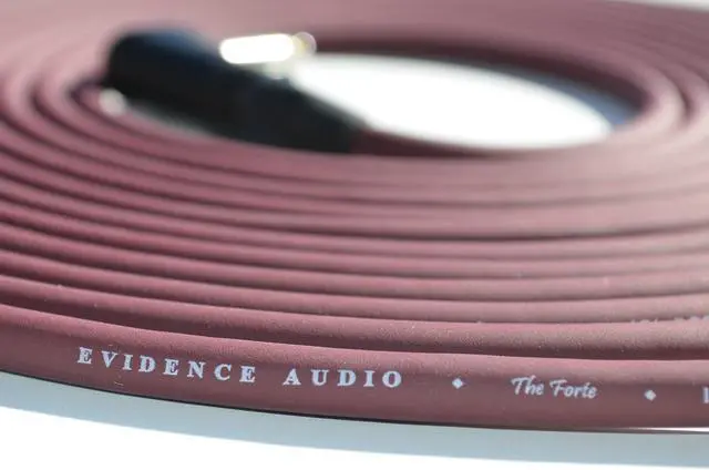 Alt view image 2 of 2 - Evidence Audio The Forte 10 Foot Instrument Cable Right to Straight
