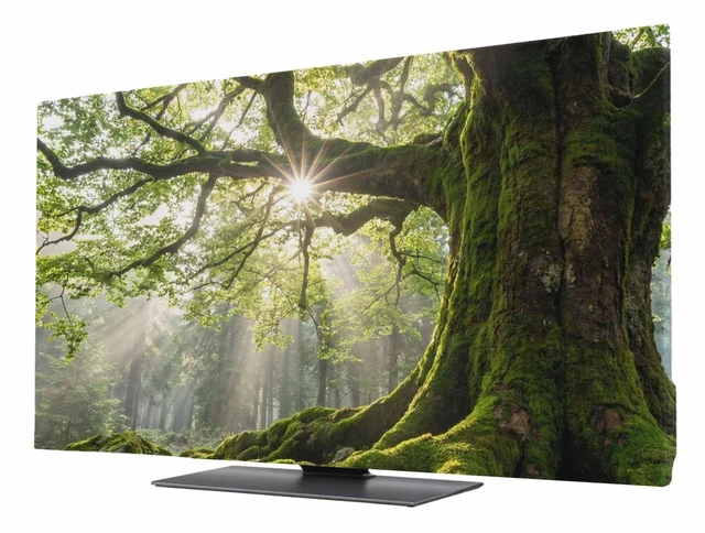 Main image of DecorLovee Ancient Tree TV Cover Indoor Elastic TVs Screen Protector, Zen Mystical Green Lush Forest Nature Monitor Covers Inside Dust Proof Slipcover, 75 Inch TV Cover for Flat or Curved TVs