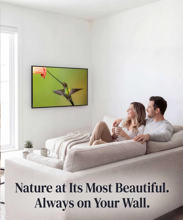 Alt view image 4 of 5 - Dreamscreens Television Photo Screensaver - TV Art - Dream Nature