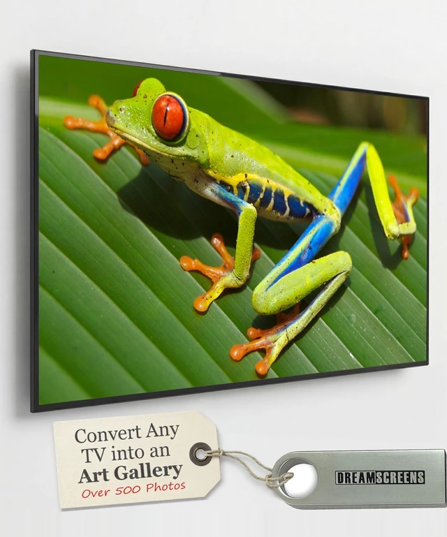 Main image of Dreamscreens Television Photo Screensaver - TV Art - Dream Nature