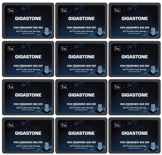 Main image of Gigastone 1TB NAS SSD Drive (12-Pack) 24/7 Durable TLC High Endurance RAID Data Storage Network Attached Storage 2.5" SATA Internal Solid State Hard Drives
